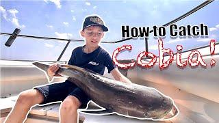 How to catch Monster Cobia without a Tower!!!