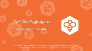 WP RSS Aggregator : SpinnerChief & WordAi Add-ons