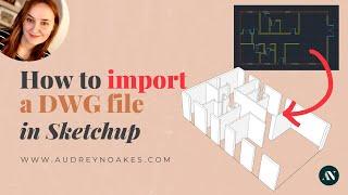 How to import a DWG file into Sketchup