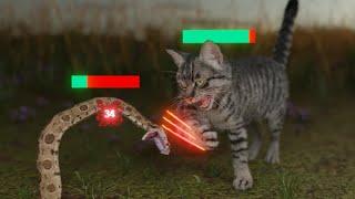How Cats Broke The Game