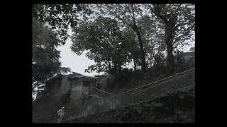 Трейлер фильма "Жизнь без корней" / "Life without roots" (То Чжи Чун) (Тайвань / Сингапур)