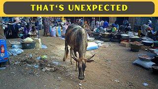 INTENSE African Market Walk in Bolgatanga, Northern Ghana