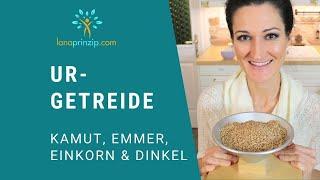 Gesundes Urgetreide - Einkorn, Emmer, Dinkel & Kamut - Alternative zu Auszugsmehlen