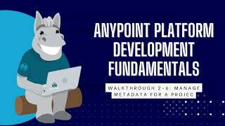 [Mulesoft] Anypoint Platform Development Fundamentals - Managed Metadata for a Project