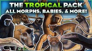 FULL OVERVIEW! | Planet Zoo's Tropical Pack Animals