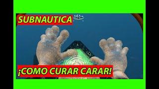 Como curar la infección (subnautica how to cure the infection) - Subnautica Guía