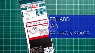 Eduard 1/48 Bf 109G-6 Space (3DL48014) Review