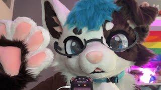 [Furry ASMR] Can I touch you? (paw visuals, mouth sounds, brushing) 