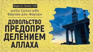 Довольство предопределением Аллаха | Шейх Салих аль-Фаузан | Шарх ас-Сунна (243)