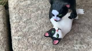 A Cat story/schleich/