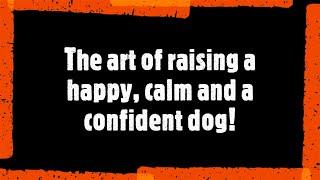 The art of raising a happy, calm and confident dog!