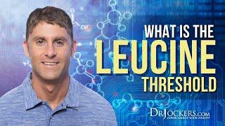 What Is The Leucine Threshold