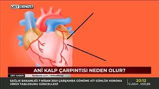 Ani Kalp Çarpıntısı - Prof. Dr. Halil Tanrıverdi
