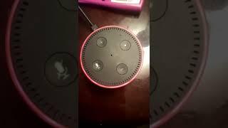 Alexa Sorry I'm having trouble connecting to the internet