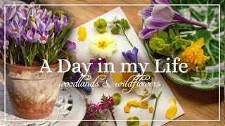 Slow Living Vlog | Self-Care Day | Spring Nature Walk | Preserving Flowers | Best Pancake Recipe