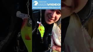 Прикольно о воблере AQUA Карась-SR  @AquafishingNet2015  #shorts  #fishing #рыбалка