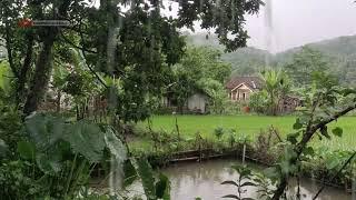 The Rain In My Village Is Really Beautiful And Refreshing