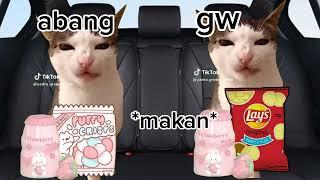 POV:kucing pergi ke hotel #meme #cat #pov #family #car #memecats