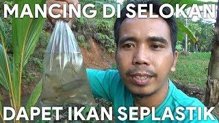 Gak Nyangka, Mancing di Selokan Dapet Ikan Seplastik