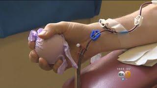 Getting Paid For Plasma: Repeat Donors Earning Cash For Blood