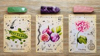 YOUR WISH IS COMING TRUE! WHICH ONE?  Pick A Card  Timeless Tarot Reading