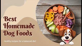 Best Homemade Dog Foods Healthy Recipes for a Balanced Diet