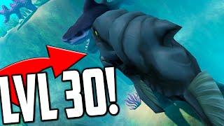 Feed And Grow Fish - LEVEL 30 BEAST, GREAT WHITE HUNTING (Gameplay)