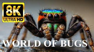 SECRET WORLD OF BUGS 8K ULTRA HD - Insect Names and Nature Sounds