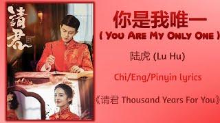 你是我唯一 (You Are My Only One) - 陆虎 (Lu Hu)《请君 Thousand Years For You》Chi/Eng/Pinyin lyrics