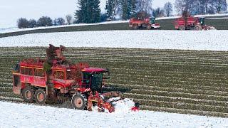 Winter sugar beet harvest - HOLMER TERRA-DOS T4-40 & TERRA-DOS T3 & Holmer AgroVital TDR