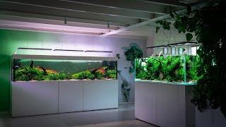 TWO AMAZING AQUARIUMS SCAPED BY FILIPE OLIVEIRA AT AQUAFLORA HEADQUARTERS, NETHERLANDS