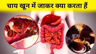 चाय खून में जाकर क्या करता हैं ? what tea do to our body