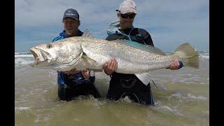 Mulloway or Cob? How to read water and find them in the surf zone. Lock Down blues.