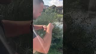 Pecanje Pastrmke - Trebinje rijeka Trebisnjica #fishing #spinning #trout#trebinje#pastrmka#river