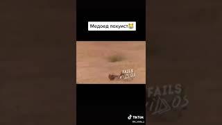 медоед похуист ))  ржал пол часа!!/////))))