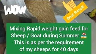 Quick weight gain feed formula for sheep and goats