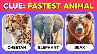 Guess the Animal by only 1 CLUE / HINT  | Ultimate Animal Quiz - TOP 30 Facts