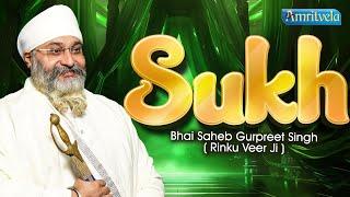 JE SUKH DE TAAN TUJEH AARADHI - BHAI GURPREET SINGH RINKU VEERJI-AMRITVELA TRUST-20th DECEMBER 2024