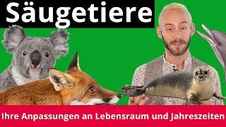 Säugetiere: Anpassung an Lebensraum und Jahreszeit – Biologie | Duden Learnattack