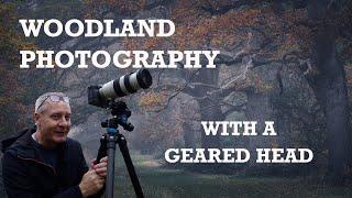 Why I chose a Benro Geared Head for Woodland Photography