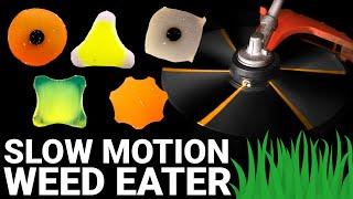 Which Shape CUTS BEST? (Weed Eater Line at 100,000 Frames Per Second) - Smarter Every Day 238