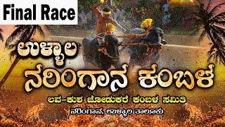 || ULLALA NARINGANA KAMBALA || FINAL RACE || ಲವ-ಕುಶ ಜೋಡುಕರೆ ಕಂಬಳ ಸಮಿತಿ ನರಿಂಗಾನ, ಉಳ್ಳಾಲ ತಾಲೂಕು ||