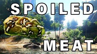 How to Get a Lot of SPOILED MEAT Fast ► Ark