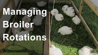 Managing Broiler Rotations