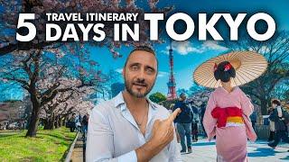 How to Spend 5 Days in TOKYO in 2025?