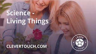 Clevertouch | KS2 - Science - Living Things Part 1