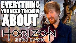 HORIZON ZERO DAWN BEGINNER'S GUIDE | EVERYTHING YOU NEED TO KNOW