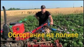 Окучиваем картофель не сотками, а гектарами!