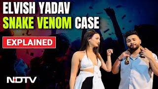 Elvish Yadav Snake Venom Case | Explained: Snake Venom Intoxication & The Case Against Elvish Yadav