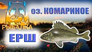 Ерш. Озеро Комариное. Фарм для новичка. РР4